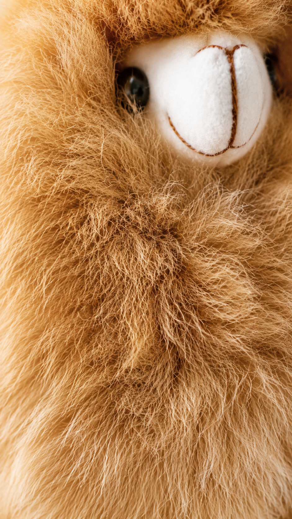 Alpaca Decor